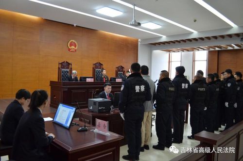【扫黑除恶】长春市双阳区法院集中宣判3件涉黑涉恶.