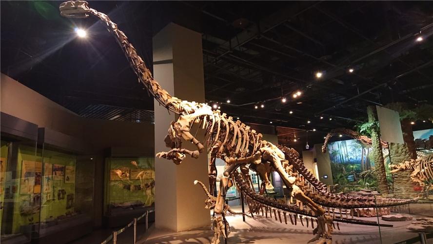 博物馆奇妙之旅|"旧址"与"新馆"两翼齐飞——走进天津自然博物馆