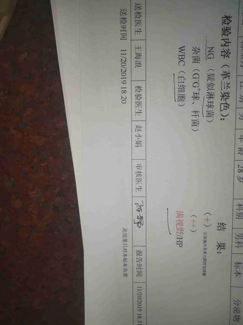 请问医生,淋球菌以现在的技术是不是不必培养就可以检测到.
