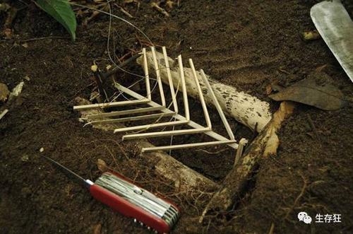 据了解当地有很多的野生动动物,如:野鸡,野兔甚至还有野猪,上一次去