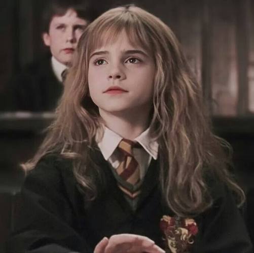 哈利的好朋友赫敏./电影《哈利·波特》