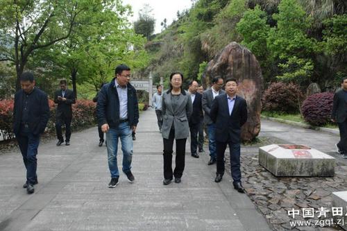 浙江省政协副主席赴青田调研石雕小镇建设工作