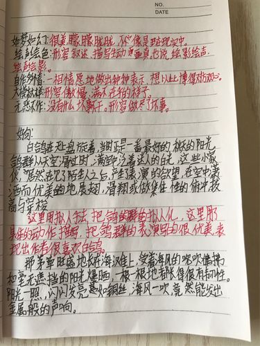 《草房子》读书笔记705管俞霖