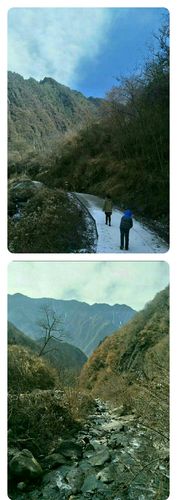 我的家乡是一个依山傍水的小山村,它以沟沟岔岔命名,故称为三岔沟.