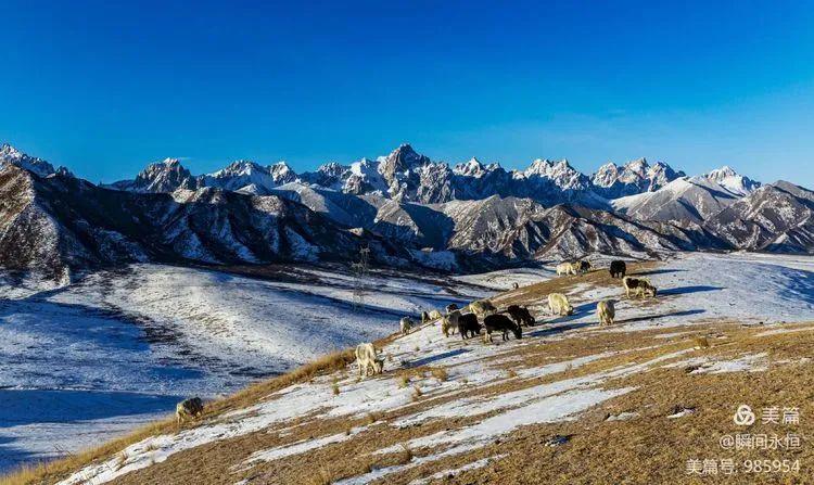 资讯 武威 正文冬日的马牙雪山需要细读,方知藏地密码.