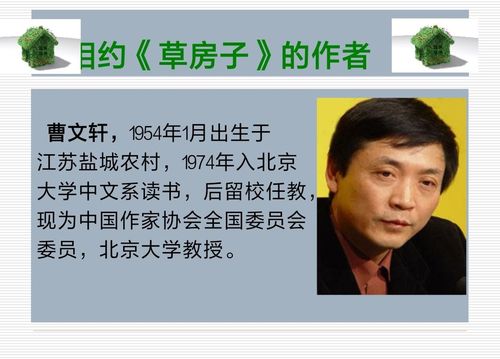 阳光阅读,共享成长!——《草房子》人物简介思维导图