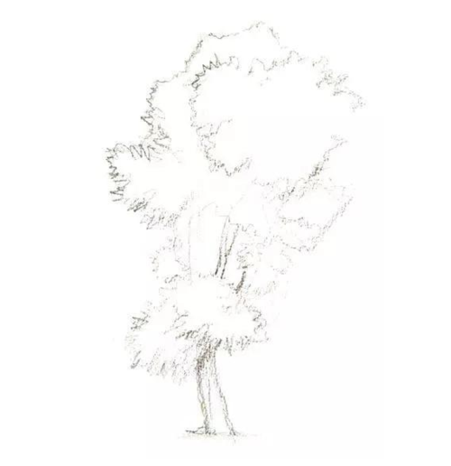 树的水彩画法和步骤教程