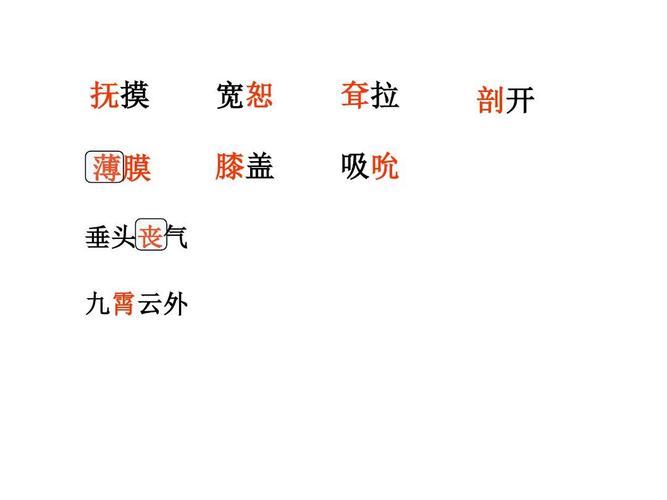 抚摸 薄膜 垂头丧气 九霄云外 宽恕 膝盖 耷拉 吸吮 剖开 和睦相处