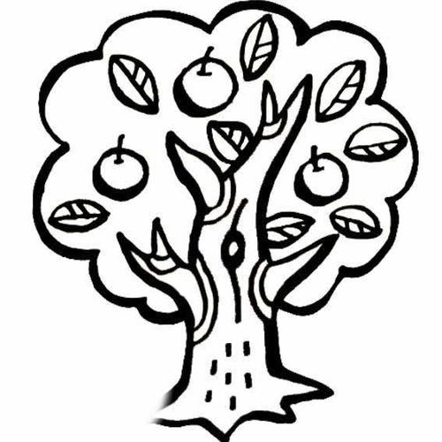 硕果累累大苹果树简笔画