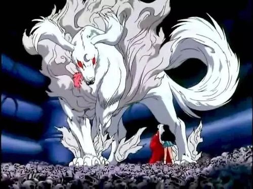 《犬夜叉》里面邪魅狷狂的贵少杀生丸原型是柴犬?