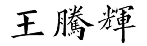 王腾辉用楷书怎么书写