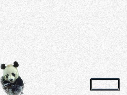 熊猫ppt模板