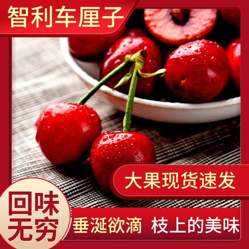 现摘现发山东烟台美早大樱桃新鲜脆甜车厘子胜大连黑珍珠水果包邮