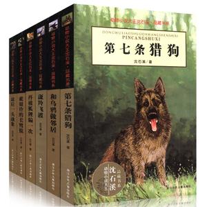 精致的小战马手抄报 手抄报图片大全