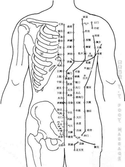 最全的人体针灸穴位经络图 (彩图)
