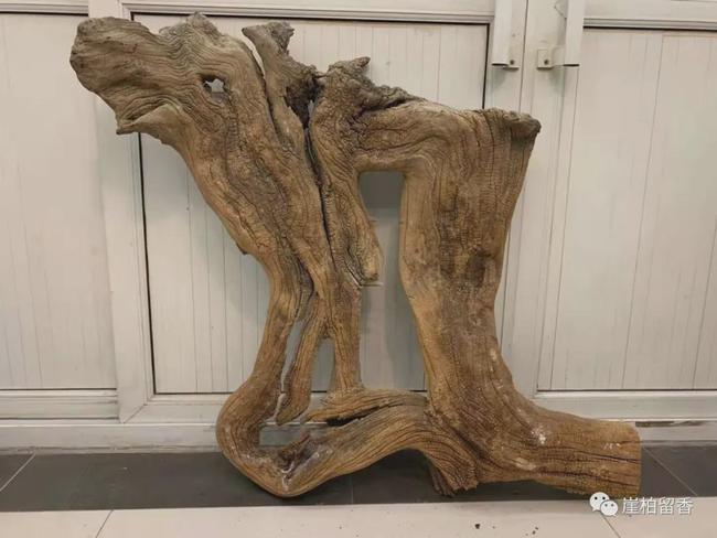 几十万成交的崖柏算不算奇迹呢