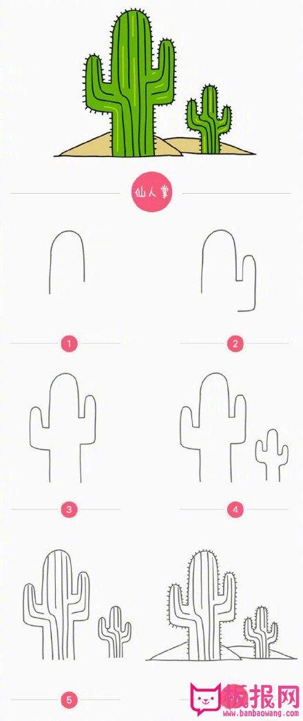 仙人掌简笔画教程仙人掌怎么画