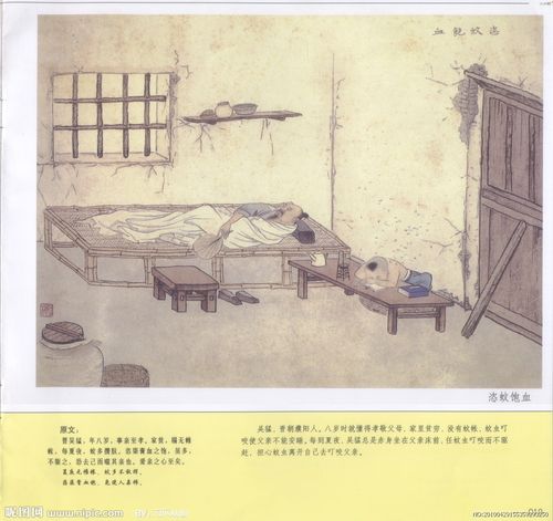 姿蚊饱血图片