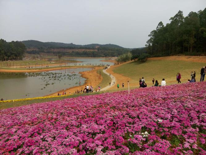 广东郁南县大王山森林公园