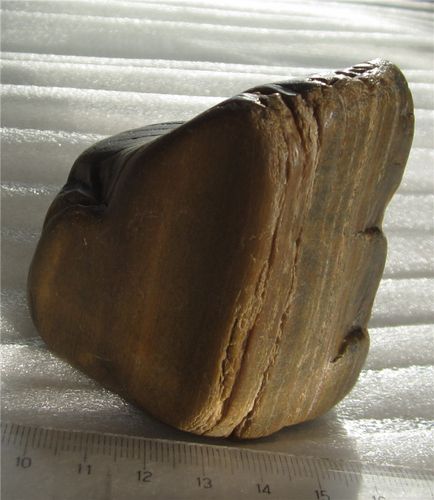 黑龙江水冲木化玉木化石硅化木原石奇石籽料314g6.9*6.1*3.8cm