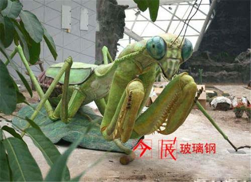 世界上最大的螳螂究竟有多大呢