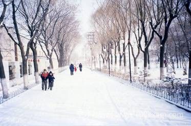 哈尔滨体育学院校园风光_校园风景图片