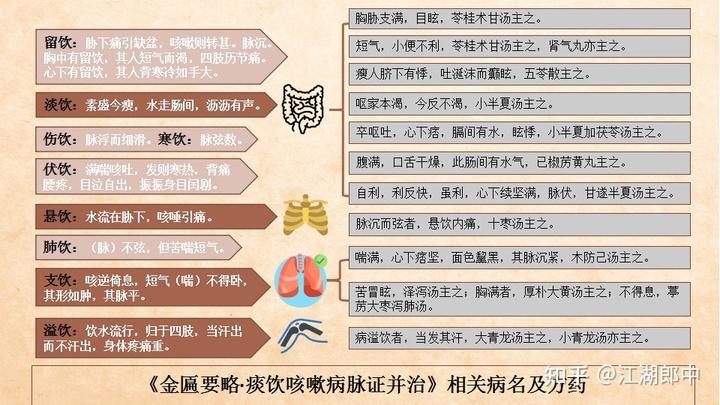 说疾解病:痰与饮