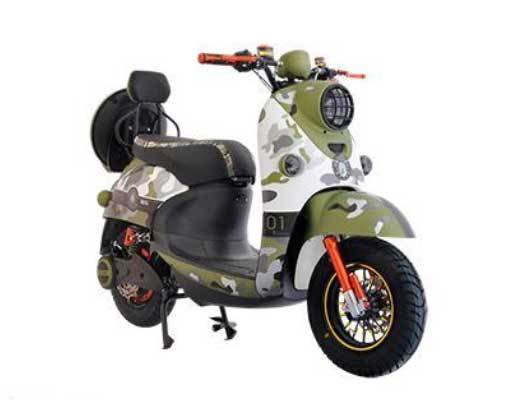 慈溪节能立马电动车哪款好