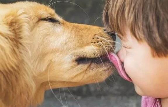 狗狗爱舔人的秘密,你造吗?