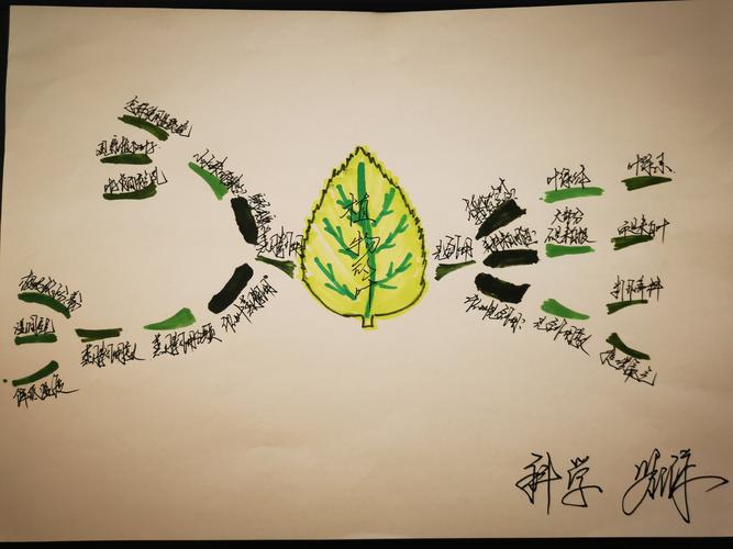 红阳小学教师手绘思维导图作品展示(三)