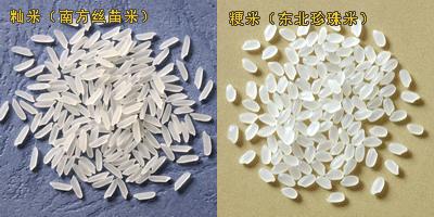 粳米 籼米区别