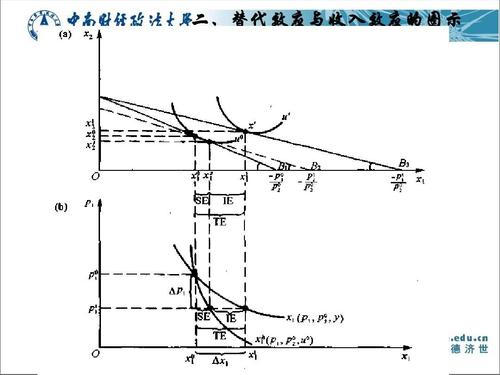 《微观经济十八讲》第三章价格变化对消费者的配置效应与福利效应ppt