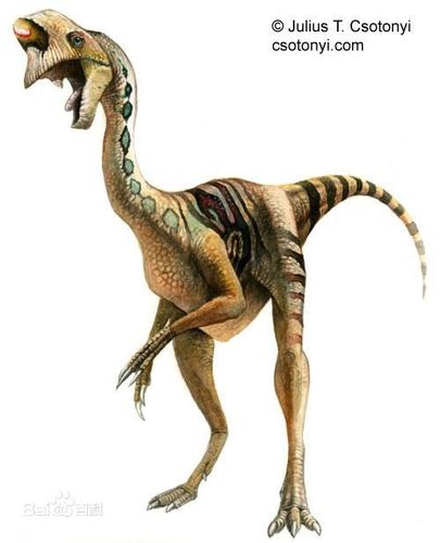 窃蛋龙-偷蛋龙:杂食性:恐龙类