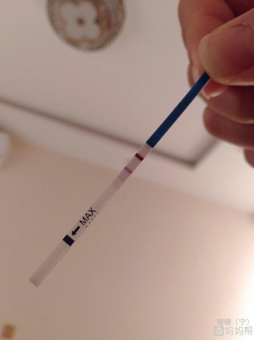 今天是姨妈日,验孕纸特别明显两道杠,第一