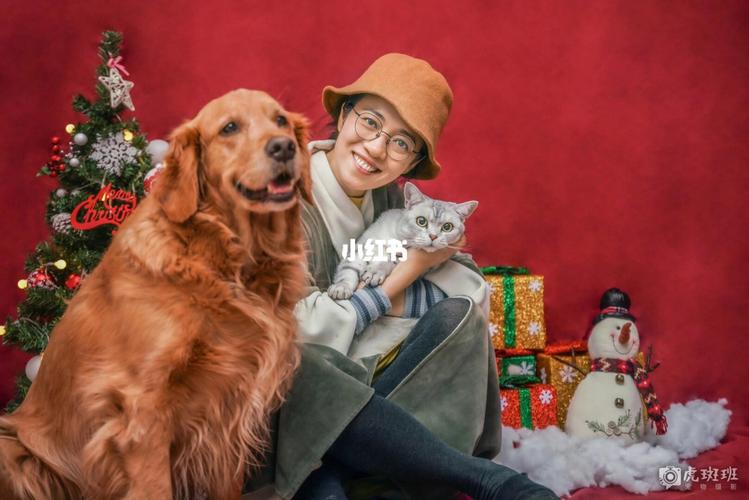 花式人宠合影2_摄影_宠物_宠物摄影_婚嫁_婚礼记录