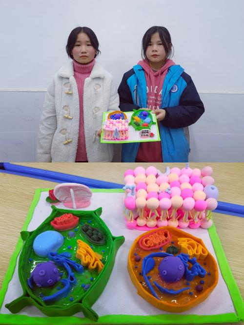 制作生物模型,提高学习兴趣,培养生物学科核心素养——桂阳县甘甜中学
