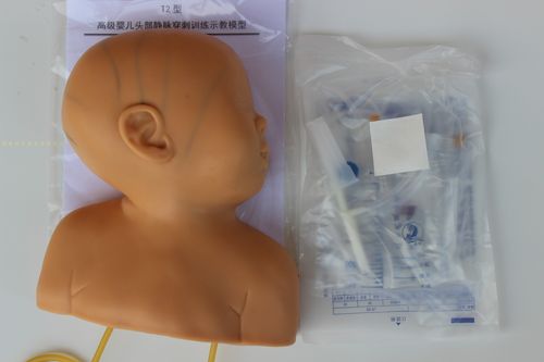 厂家直销★婴儿头部静脉注射穿刺训练模型,小儿头皮注射