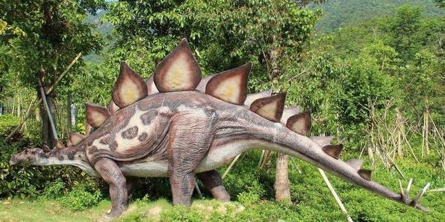 食草恐龙和别的恐龙有哪些区别