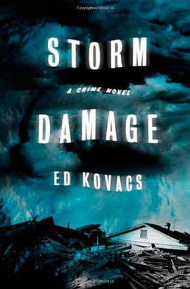 stormdamage短评