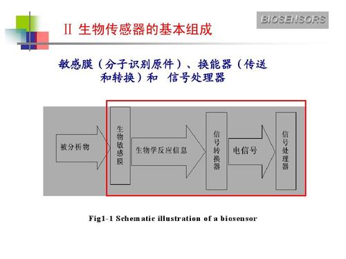 第二讲 生物传感器ppt