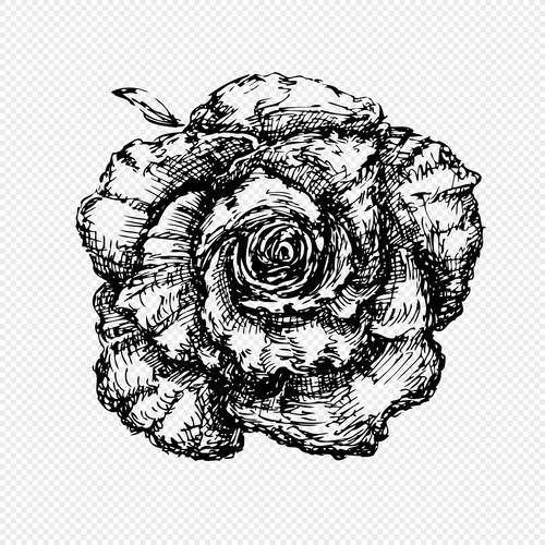 玫瑰花黑白元素
