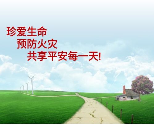 "珍爱生命,预防火灾"消防安全主题班会纪实