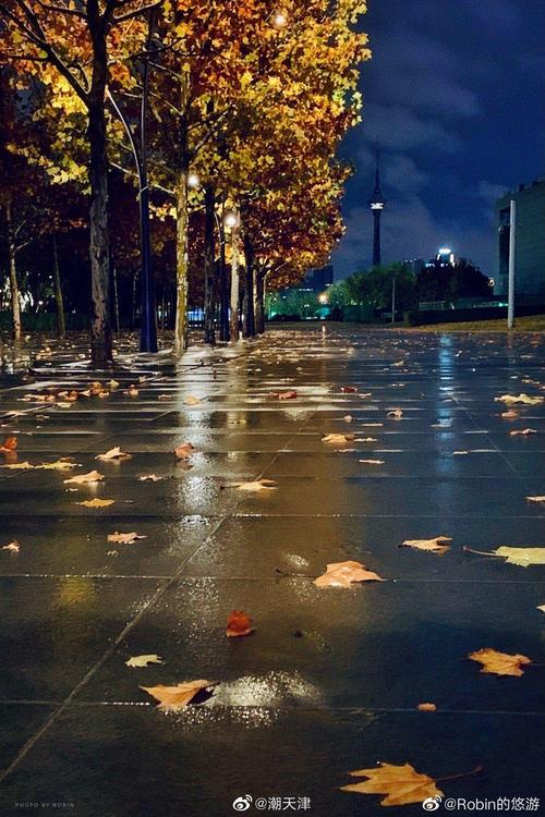 秋雨后的夜(by@robin的悠游 )
