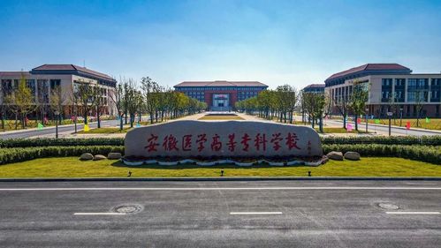 安徽医学高等专科学校 2021年分类考试招生章程