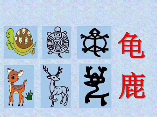 可爱的中国象形文字
