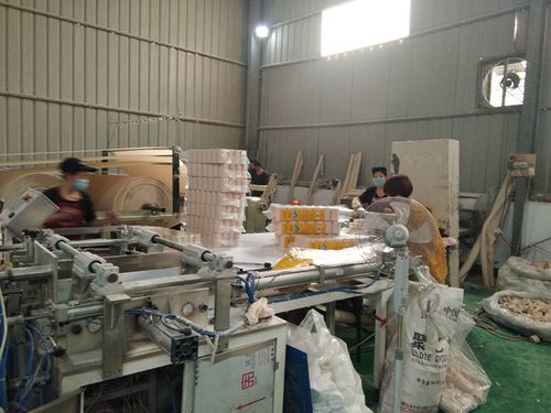 想做一个卫生纸生产线