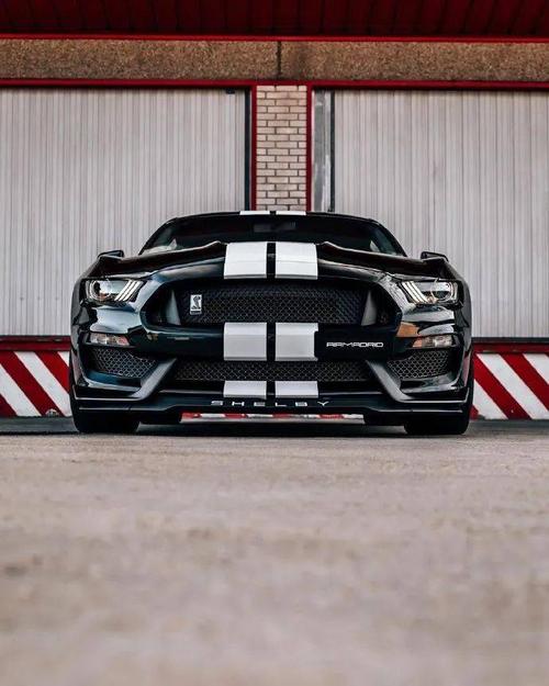 福特野马shelbygt350终极眼镜蛇