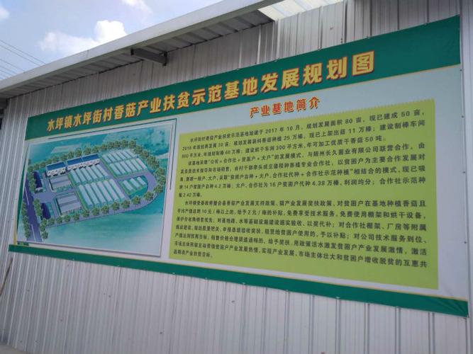 德程合作社:"小香菇"撬动扶贫大产业