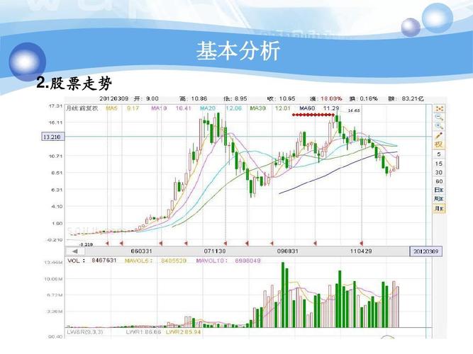 苏宁电器财务分析报告ppt