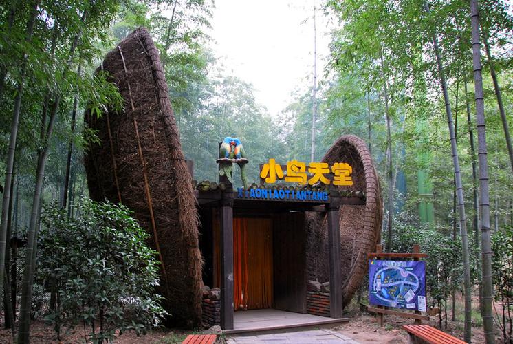天目湖南山竹海
